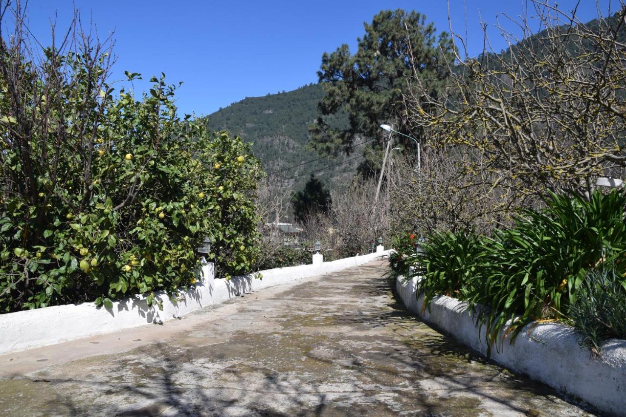 Casa Rural Juli Santa Cruz de Tenerife Exterior foto